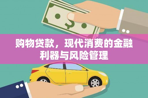武清购物贷款，现代消费的金融利器与风险管理