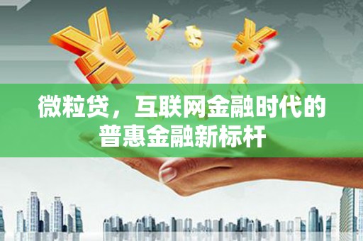 武清微粒贷，互联网金融时代的普惠金融新标杆