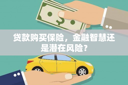 武清贷款购买保险，金融智慧还是潜在风险？