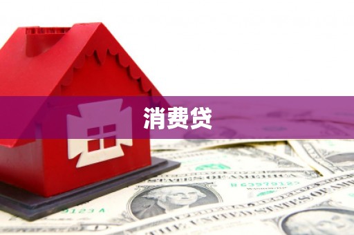 武清消费贷