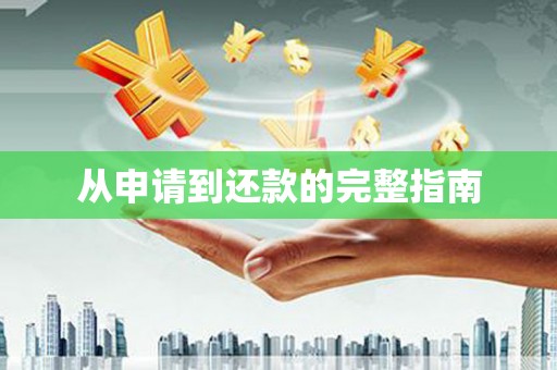 武清从申请到还款的完整指南