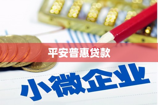 武清平安普惠贷款
