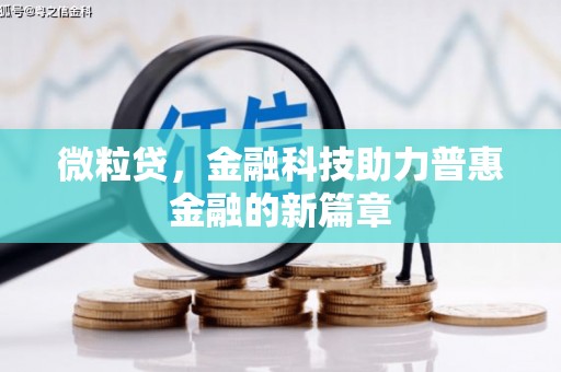 武清微粒贷，金融科技助力普惠金融的新篇章