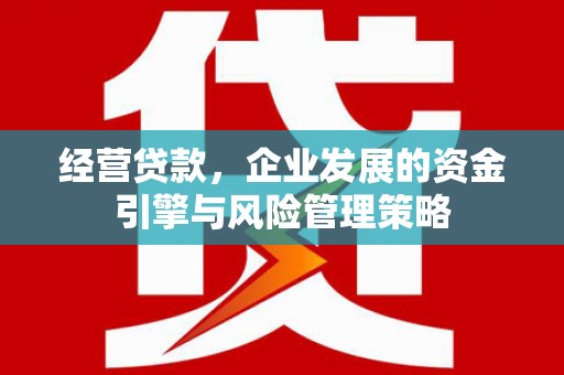 武清经营贷款，企业发展的资金引擎与风险管理策略