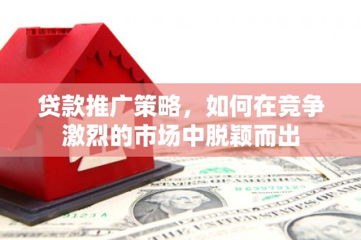 武清贷款推广策略，如何在竞争激烈的市场中脱颖而出