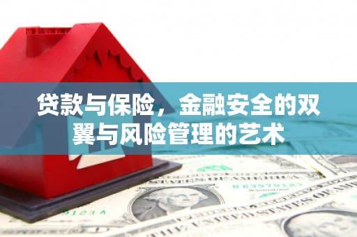 武清贷款与保险，金融安全的双翼与风险管理的艺术