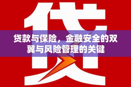 武清贷款与保险，金融安全的双翼与风险管理的关键