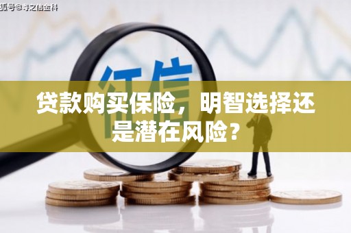 武清贷款购买保险，明智选择还是潜在风险？