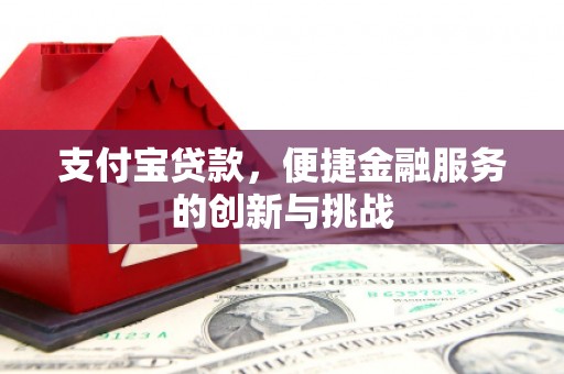 武清支付宝贷款，便捷金融服务的创新与挑战