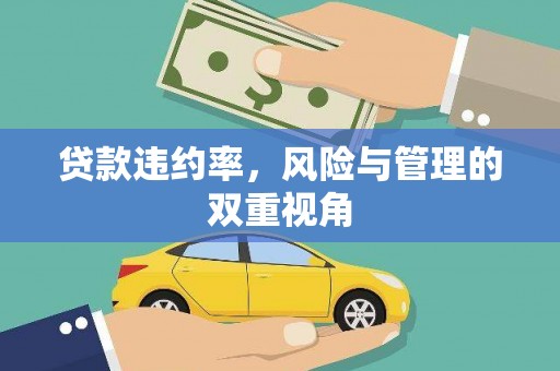 武清贷款违约率，风险与管理的双重视角