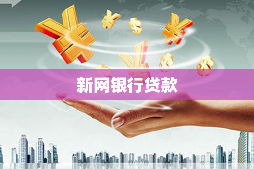 武清新网银行贷款