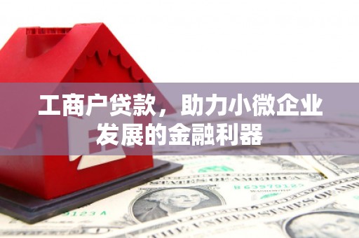 武清工商户贷款，助力小微企业发展的金融利器