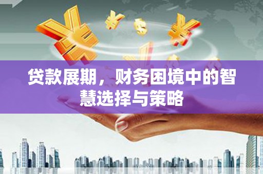 武清贷款展期，财务困境中的智慧选择与策略