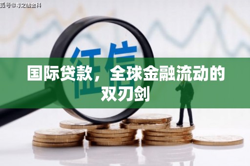 武清国际贷款，全球金融流动的双刃剑