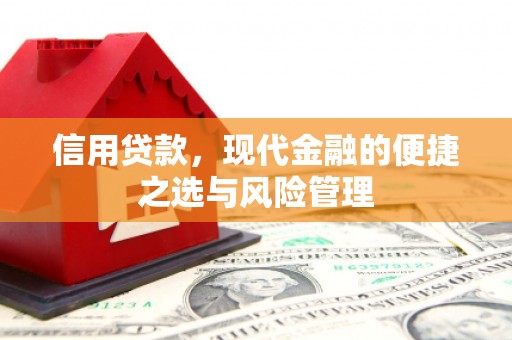 武清信用贷款，现代金融的便捷之选与风险管理