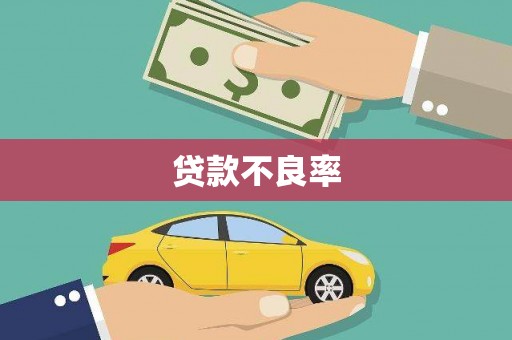 武清贷款不良率