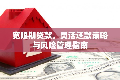 武清宽限期贷款，灵活还款策略与风险管理指南
