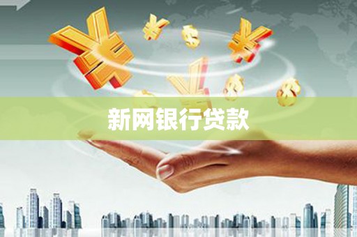 武清新网银行贷款