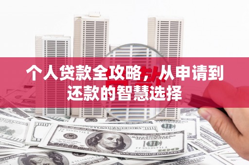 武清个人贷款全攻略，从申请到还款的智慧选择
