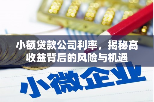 武清小额贷款公司利率，揭秘高收益背后的风险与机遇