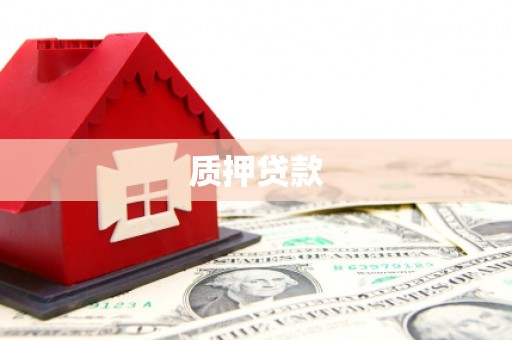 武清质押贷款