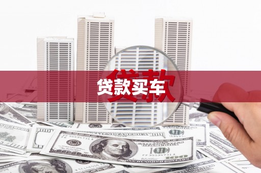 武清贷款买车