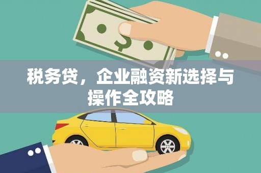 武清税务贷，企业融资新选择与操作全攻略