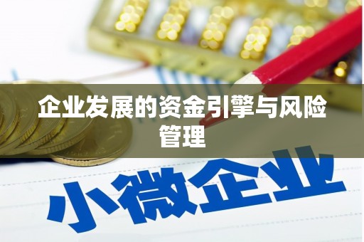 武清企业发展的资金引擎与风险管理