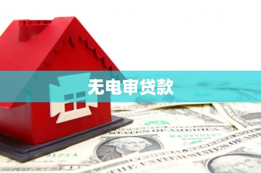 武清无电审贷款