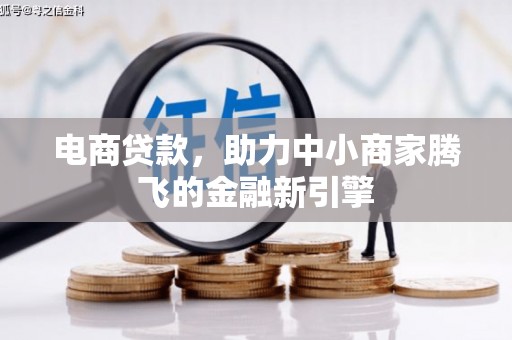 武清电商贷款，助力中小商家腾飞的金融新引擎