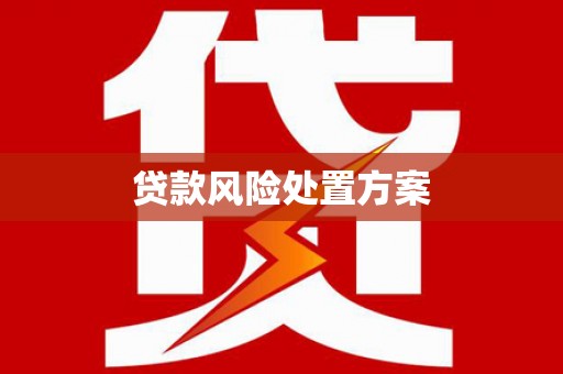 武清贷款风险处置方案