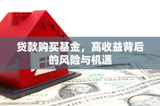 武清贷款购买基金，高收益背后的风险与机遇