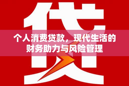 武清个人消费贷款，现代生活的财务助力与风险管理