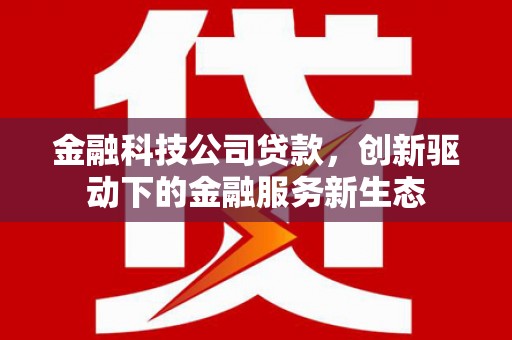 武清金融科技公司贷款，创新驱动下的金融服务新生态