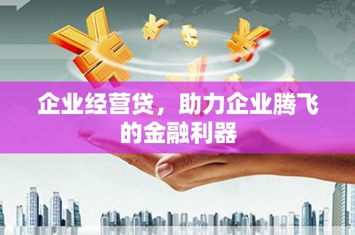 武清企业经营贷，助力企业腾飞的金融利器