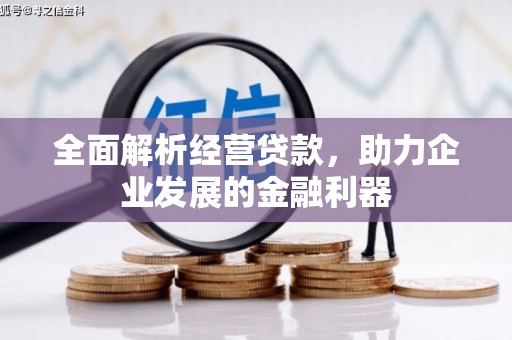 武清全面解析经营贷款，助力企业发展的金融利器