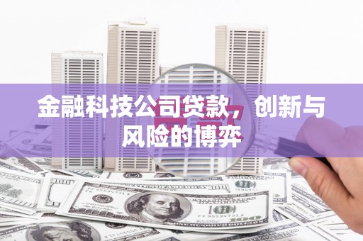 武清金融科技公司贷款，创新与风险的博弈