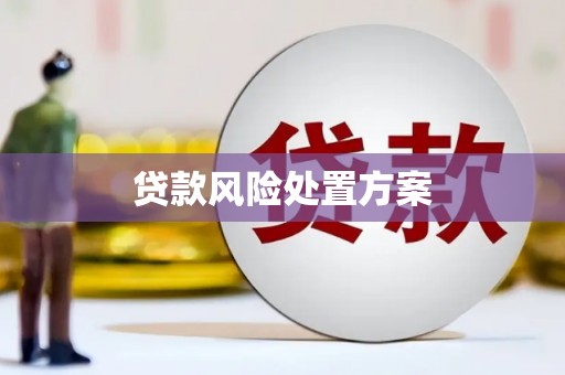 武清贷款风险处置方案