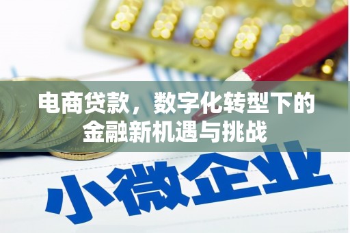 武清电商贷款，数字化转型下的金融新机遇与挑战