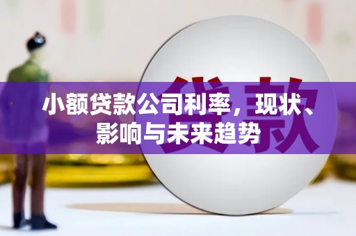 武清小额贷款公司利率，现状、影响与未来趋势