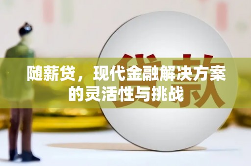 武清随薪贷，现代金融解决方案的灵活性与挑战