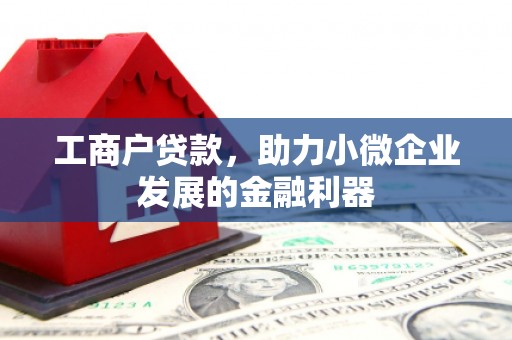 武清工商户贷款，助力小微企业发展的金融利器