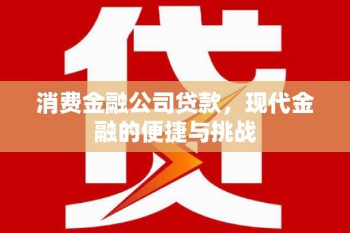 武清消费金融公司贷款，现代金融的便捷与挑战