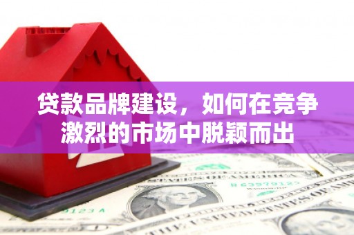武清贷款品牌建设，如何在竞争激烈的市场中脱颖而出