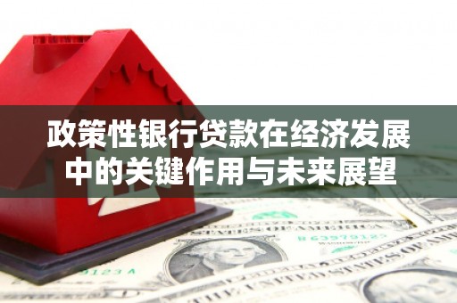 武清政策性银行贷款在经济发展中的关键作用与未来展望