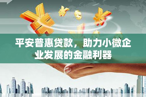 武清平安普惠贷款，助力小微企业发展的金融利器