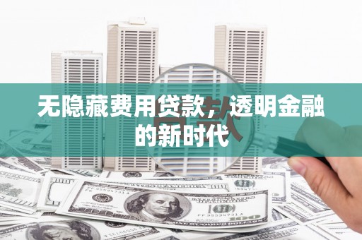 武清无隐藏费用贷款，透明金融的新时代