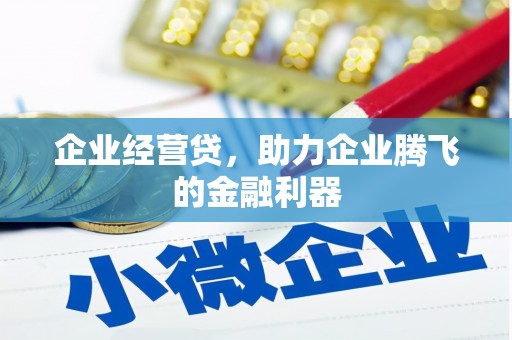 武清企业经营贷，助力企业腾飞的金融利器
