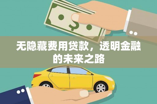武清无隐藏费用贷款，透明金融的未来之路
