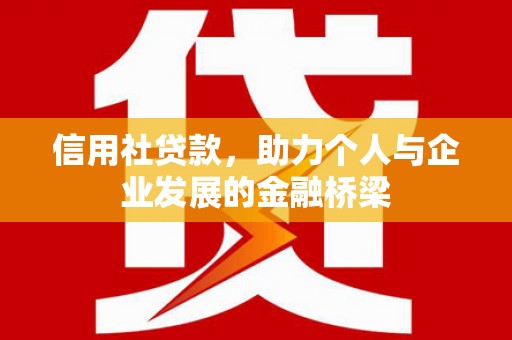 武清信用社贷款，助力个人与企业发展的金融桥梁